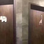 廁所性別標動物……他崩潰求救:哪間是男廁啦?