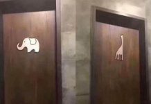 廁所性別標動物……他崩潰求救:哪間是男廁啦?