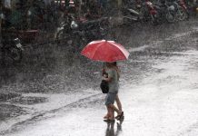 下雨有味道? 研究證明:「嗅覺靈敏」就能感應出即將降雨