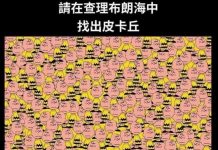 眼力考驗!你找得到「皮卡丘」嗎?9成網友喊:到底在哪