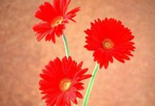 有車的人注意了,車牌號碼有5、7、8、9、0,恭喜你好運連連聚錢財啦