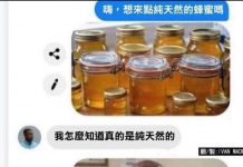 純到不能再純了……