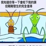螳螂的回復讓蟑螂石化了…