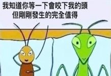 螳螂的回復讓蟑螂石化了…