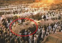 為什麼兵馬俑中間的土墻不能挖,大有玄機…