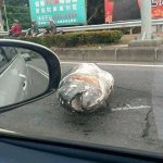 有魚跳車! 高雄驚現「整條完整鮪魚」躺路邊 超巨大「摩托車size」網友嚇:誰掉了100萬?