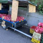 老闆還在田裡!貨車上擺火龍果「一袋100自己拿」 10個小時後「回到車上秒傻住」:不愧是台灣