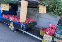 老闆還在田裡!貨車上擺火龍果「一袋100自己拿」 10個小時後「回到車上秒傻住」:不愧是台灣