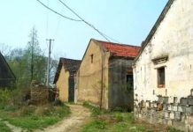 離婚五年後,我故意開豪車去前妻家炫耀,老人說:她死了五年了