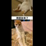 婚後生活太過寫實…