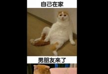 婚後生活太過寫實…