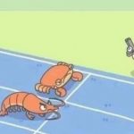 螃蟹跟蝦子賽跑…後勁太強!