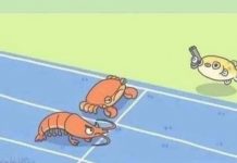 螃蟹跟蝦子賽跑…後勁太強!