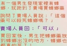 蟑螂反而更多了