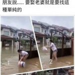 是純還是蠢?