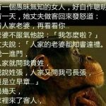 我的老婆好傻好天真