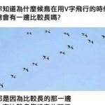 奇怪的知識又增加了!