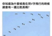 奇怪的知識又增加了!