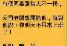 這同事腦迴路跟一般人不一樣…難怪老闆想開除他