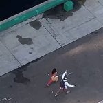 再耍大牌啊!情侶顧逛街「害郵輪大誤點」船長「不等了!直接開走」