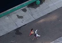 再耍大牌啊!情侶顧逛街「害郵輪大誤點」船長「不等了!直接開走」