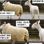 原因就是哪麼簡單!