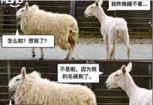 原因就是哪麼簡單!