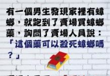 原來蟑螂是這樣群居生活的…