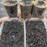 超浮誇!點珍奶「店員好友幫加好加滿」 網卻搖頭:喝完飽3天