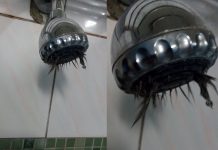 洗澡的時候驚見蓮蓬頭「炸出黑毛」,沒想到更可怕的還在後面…