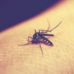 蚊子最愛叮的「4類人」小心你也上榜!
