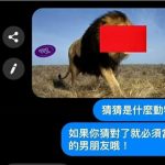 猜對了就要當我男朋友…沒想到對方竟然這樣回答!
