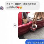 這真的有夠髒…