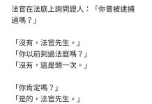 自己挖坑自己跳