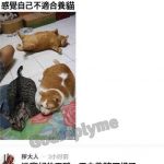 還真是浪費了…