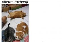 還真是浪費了…