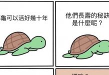 海龜長壽的秘密….