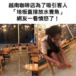 越南咖啡店為了吸引客人 「直接在地板放水養魚」網友看了超憤怒!
