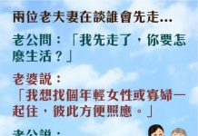 沒必要這麼認真吧?