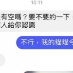 貓老大的生日最重要