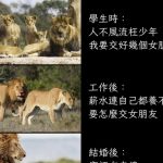 結婚後太慘了吧