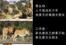 結婚後太慘了吧