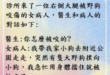 女病人捨身救小狗…只因為台灣的制度啊!