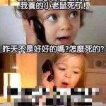 小芳真的傻眼了