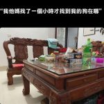 第一眼找到狗的人神了!