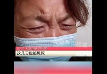 孫子玩手遊「課金87萬」!阿嬤收帳單哭暈:那是死亡賠償金啊