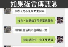 如果貓會傳訊息的話…傲嬌的程度更高了啊!