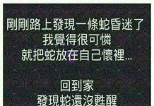 這樣做實在太有愛心了!!