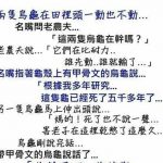 原來這故事是在告訴我們……..