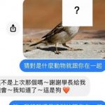 這答案…怎麼跟上次說好的不一樣?!